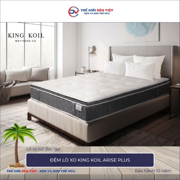 Đệm lò xo King Koil Arise Plus 3
